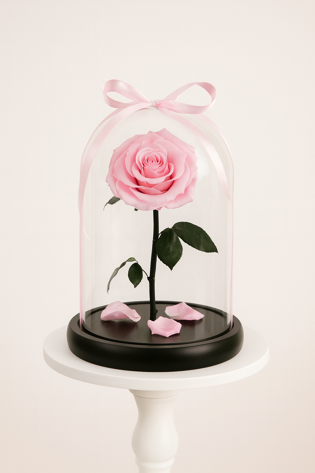 Single Pink Rose