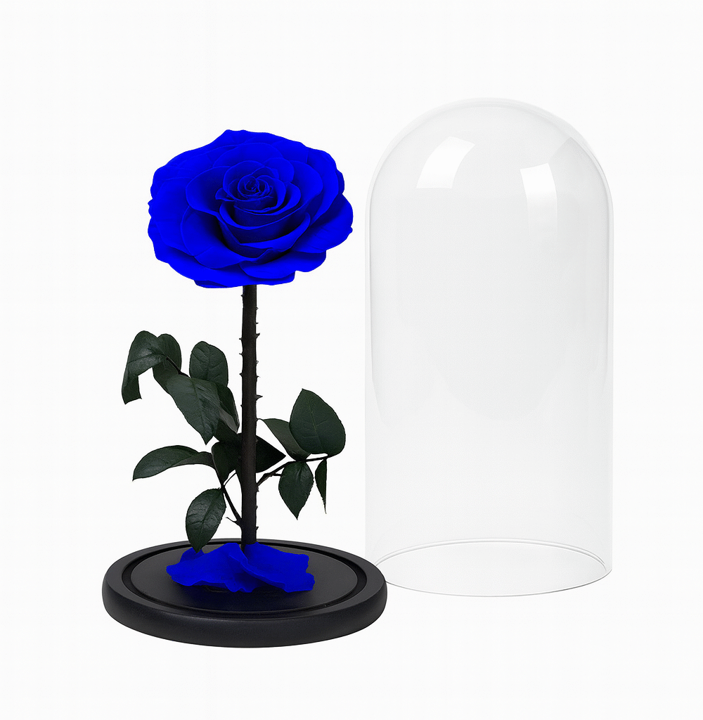 Everlasting Roses