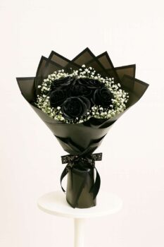 6 BLACK ROSE
