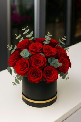 190aed_compressed_q80