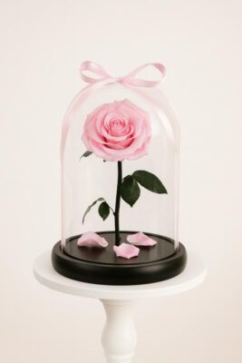 Single Pink Rose(200AED)