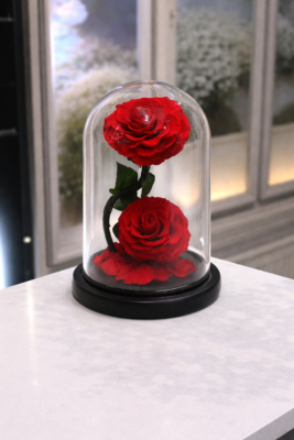 Everlasting 2 Red Roses