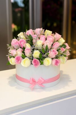 file_0000000029fc6230a825a42b5d7a8ebe_compressed_q80