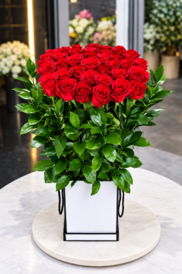 RED ROSE ELEGANCE