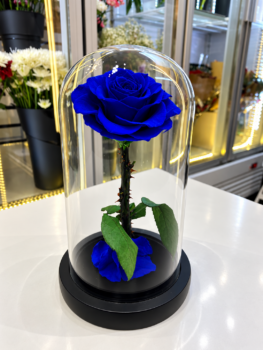 BLUE EVERLASTING ROSE