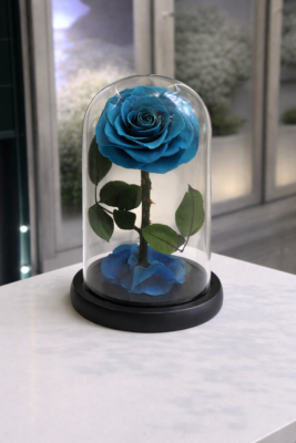 Single Everlasting Sea Blue