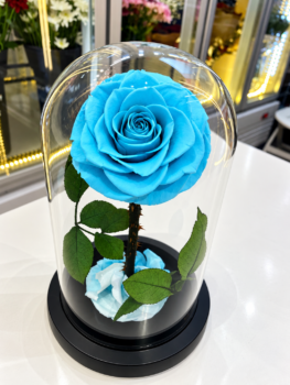 BLUE EVERLASTING ROSE