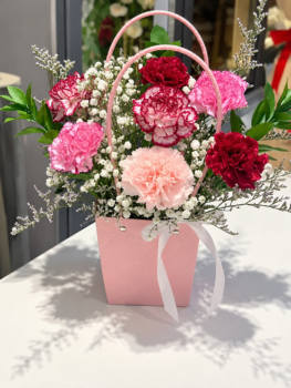 CARNATION BAG BOUQUET