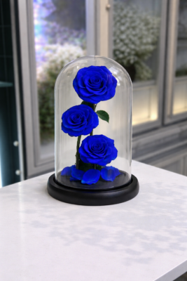 file_00000000e6e8720c93bf1f92d956fab9