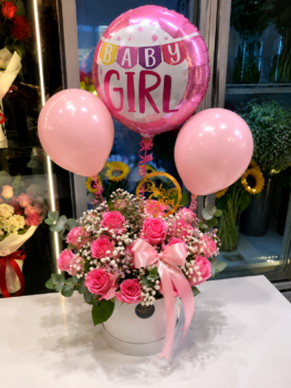 BABY GIRL NEW BORN GIFT
