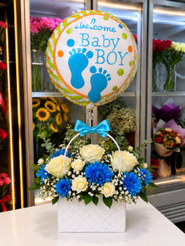 BABY BOY GIFT