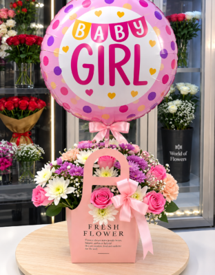 BABY GIRL SET