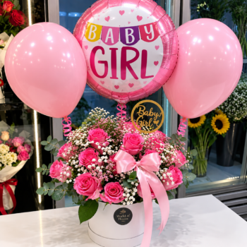 BABY GIRL NEW BORN GIFT