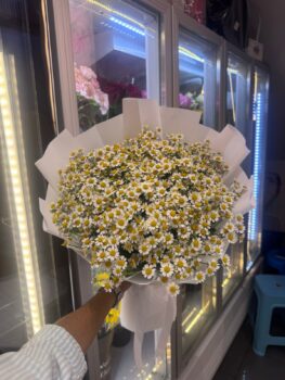 PREMIUM DAISY BOUQUET