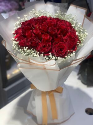 WhatsApp Image 2026-02-01 at 7.02.46 PM