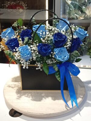 BABY BOY BLUE BAG
