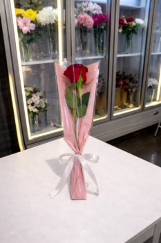 Single Red Rose
