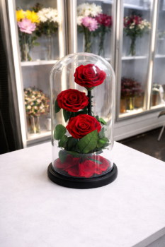 Everlasting 3 Roses