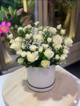 GET WELL SOON FLOWERS