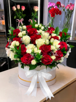 PREMIUM RED WHITE MIX BOX
