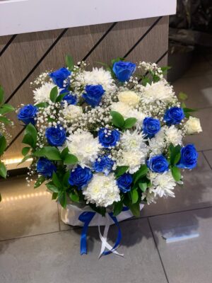 IMG-20260224-WA0010(1)