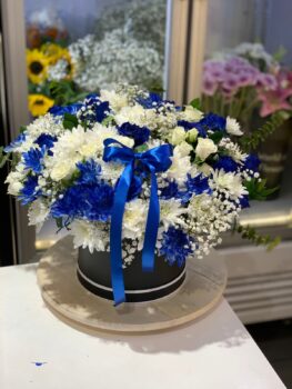 PREMIUM BLUE BOX