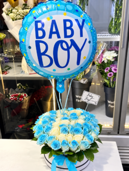 BABY BOY NEW BORN SET