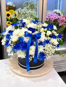 PREMIUM BLUE BOX BLOOMING