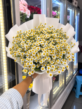 PREMIUM DAISY BOUQUET
