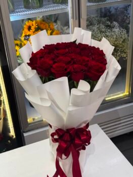 20 PREMIUM RED ROSES