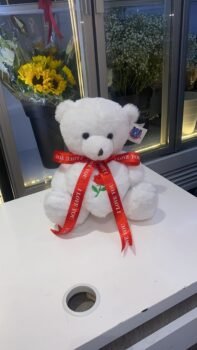 WHITE PREMIUM TEDDY