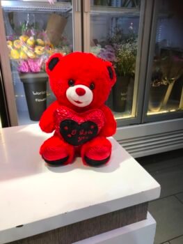 RED TEDDY FOR GIRLFRIEND