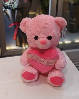 PINK I LOVE YOU TEDDY