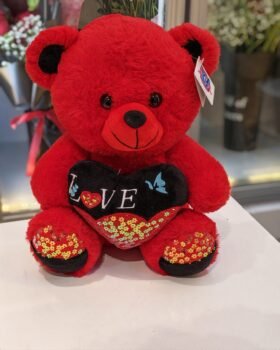 RED TEDDY LOVE