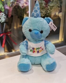 HAPPY BIRTHDAY TEDDY 30CM