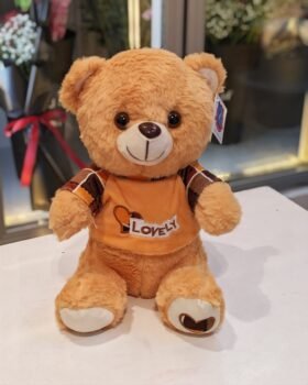 PREMIUM TEDDY