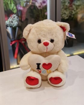 I LOVE YOU TEDDY