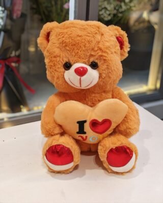 I LOVE YOU TEDDY