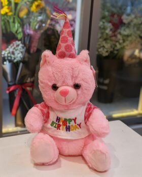 HAPPY BIRTHDAY TEDDY 30CM