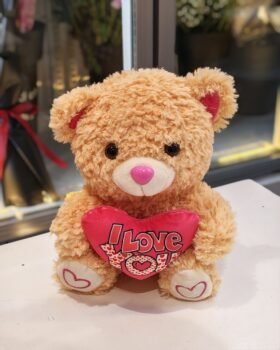 I LOVE YOU TEDDY