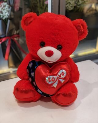 RED LOVE TEDDY